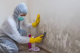 Best Biohazard Mold Removal  in Cottage Grove, MN